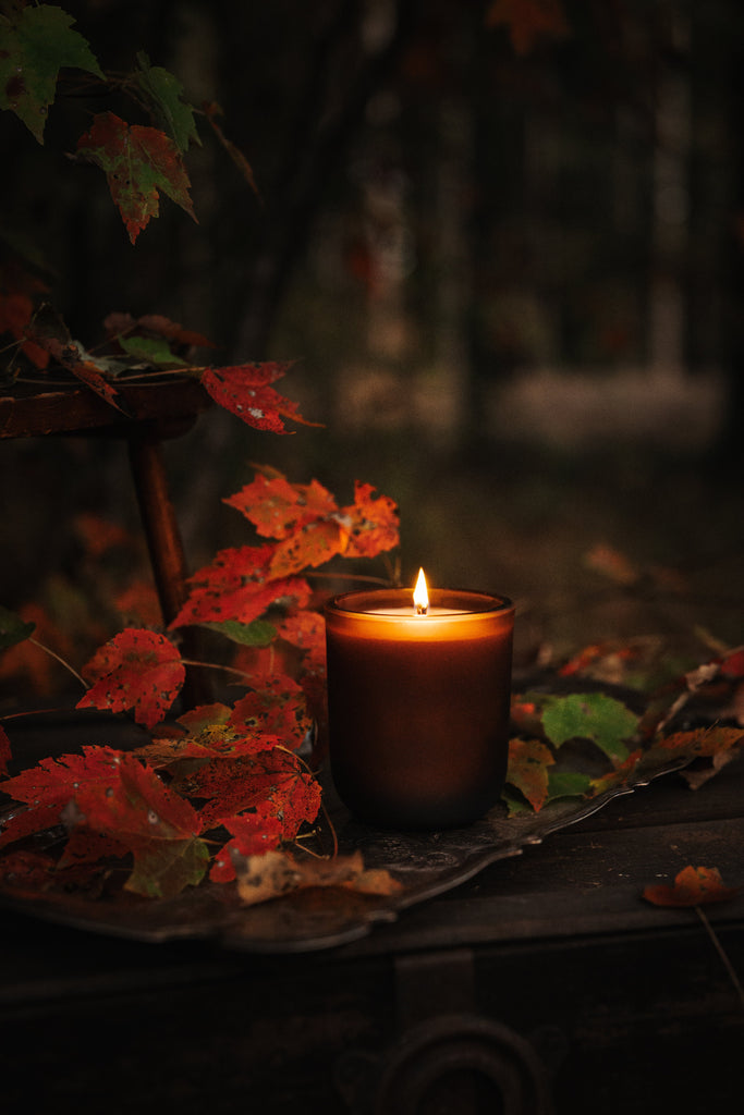 Beaumont Fall Collection